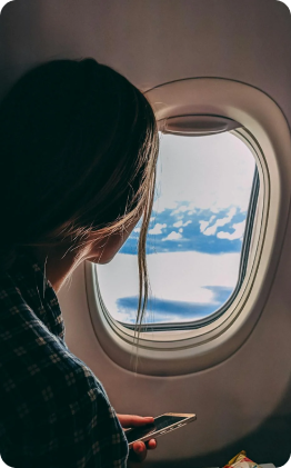 Flight view